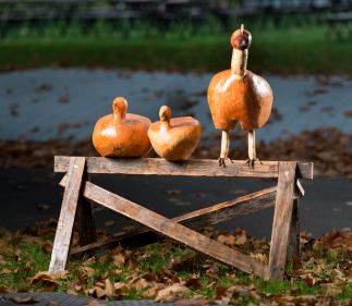 Perching Chooks