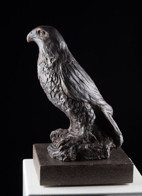 Raptor sculpture by Bronwyn Culshaw