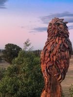 Percy the powerful owl