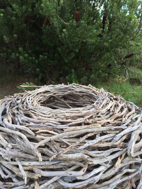 Nest sculpture by Therese Coffey