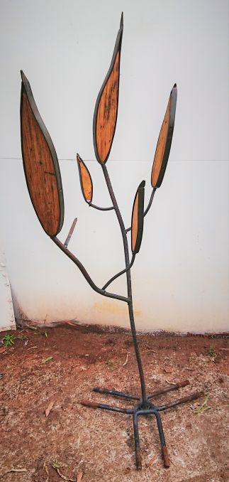 Obliqua tree leaves