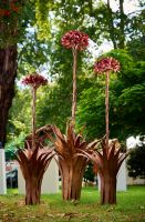 Gymea Lilies, set of 3