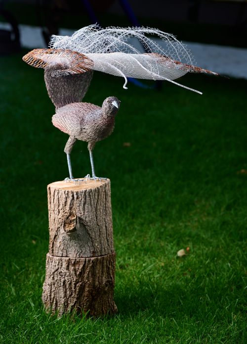 Lyrebird sculpture by Vicky Combridge