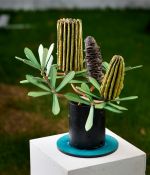 Banksia in a Vase