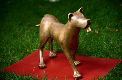 Puppy sculpture by Angela MacDougall