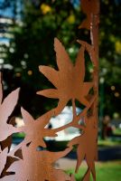 Caulfield Park Maple Swirl by Helen Neyland