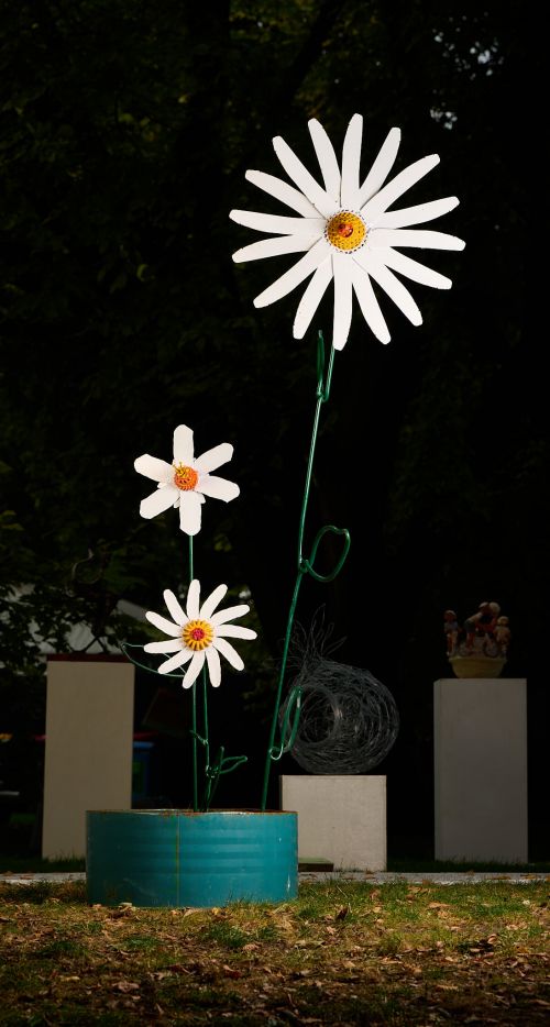 Oxeye Daisies sculpture by Graeme Hardidge