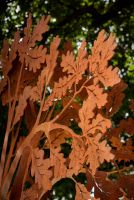 Manningham Oak by Helen Neyland