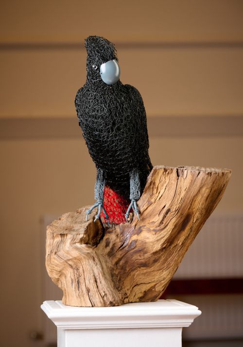 Red-tailed Black Cockatoo sculpture by Vicky Combridge