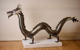 Chinese Dragon by 
											
												Corrado Rizza
											