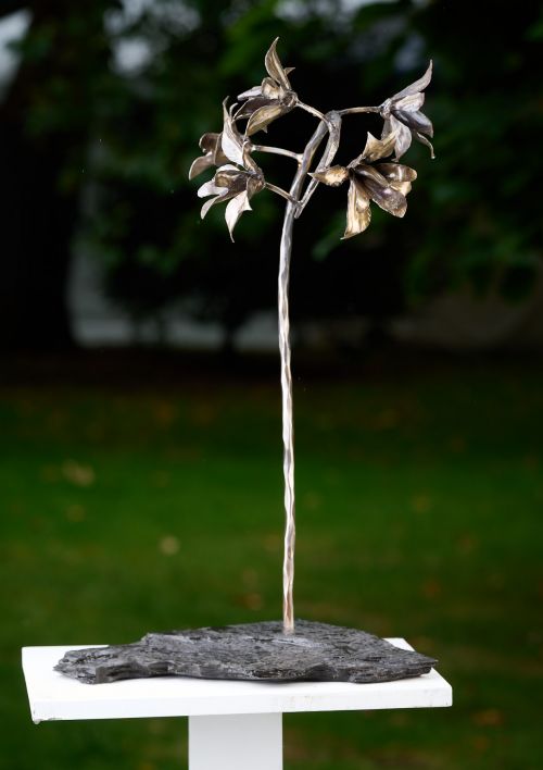 Orchids sculpture by Paul Cacioli