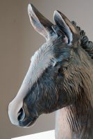 A donkey never forgets