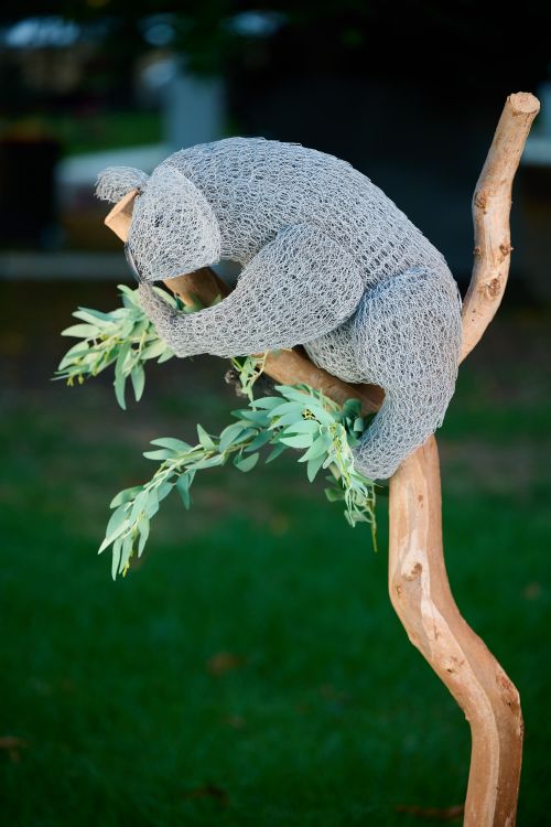 Kazza Koala sculpture by Vicki Combridge