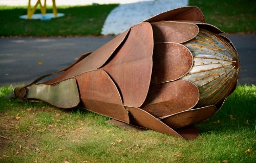 Protea sculpture by Gavin Roberts