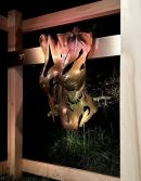 Sarah Louise Kinsella