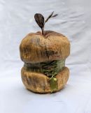 Katherine Masiulanis