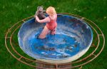 Teddy learns to swim.