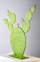 Green Prickly Pear