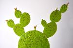 Green Prickly Pear