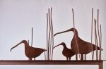 Birds in Reeds