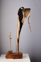 The journey gone and the journey to come