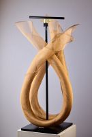 Hangman Lily - Doubled!