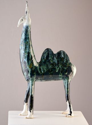 Camels are for everyone