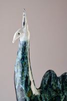 Camels are for everyone