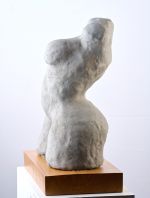 S Curve Pose - Female Torso