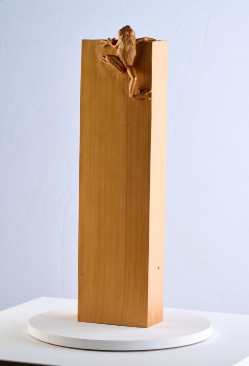 Little Frog. Big Climb sculpture by Olivia O’Connor