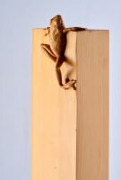 Little Frog. Big Climb