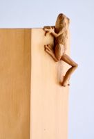 Little Frog. Big Climb