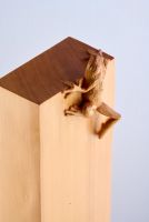 Little Frog. Big Climb