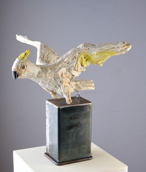 Cocky sculpture by Alison Parkinson