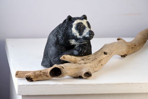 Hector - an old, Andean bear with a story to tell sculpture by Cindy Rodriguez