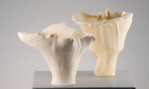 Good Bones sculpture by Bonnie Cruikshank