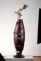 Hope of the Youthful Heart