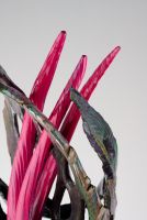 LEANING INTO THE FLOW