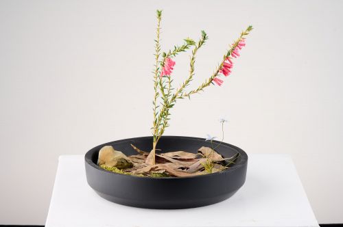 Epacris impressa (Common heath) sculpture by Holly Watson-Reeves