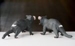 Tasmanian Devils
