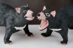 Tasmanian Devils