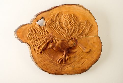 Lyrebird sculpture by Damian Curtain