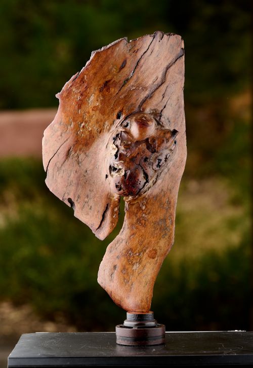 Emerging Heart sculpture by Aaron Jones