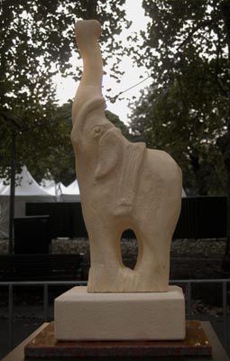 Elephant Call to the Wild