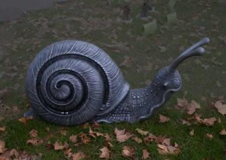 Snail Play (racing snails)