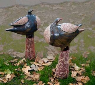 Bronzewing Pair